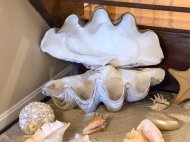 Antique Auction Photos