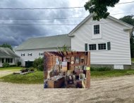 Antique Auction Photos